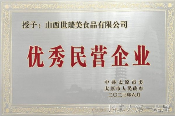 民营企业